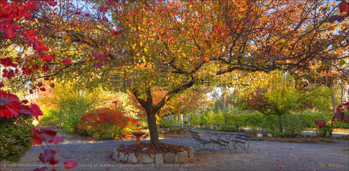 Peter Bellingham Photography Colours of Autumn - Beechworth - VIC T (PBH4 00 13474)